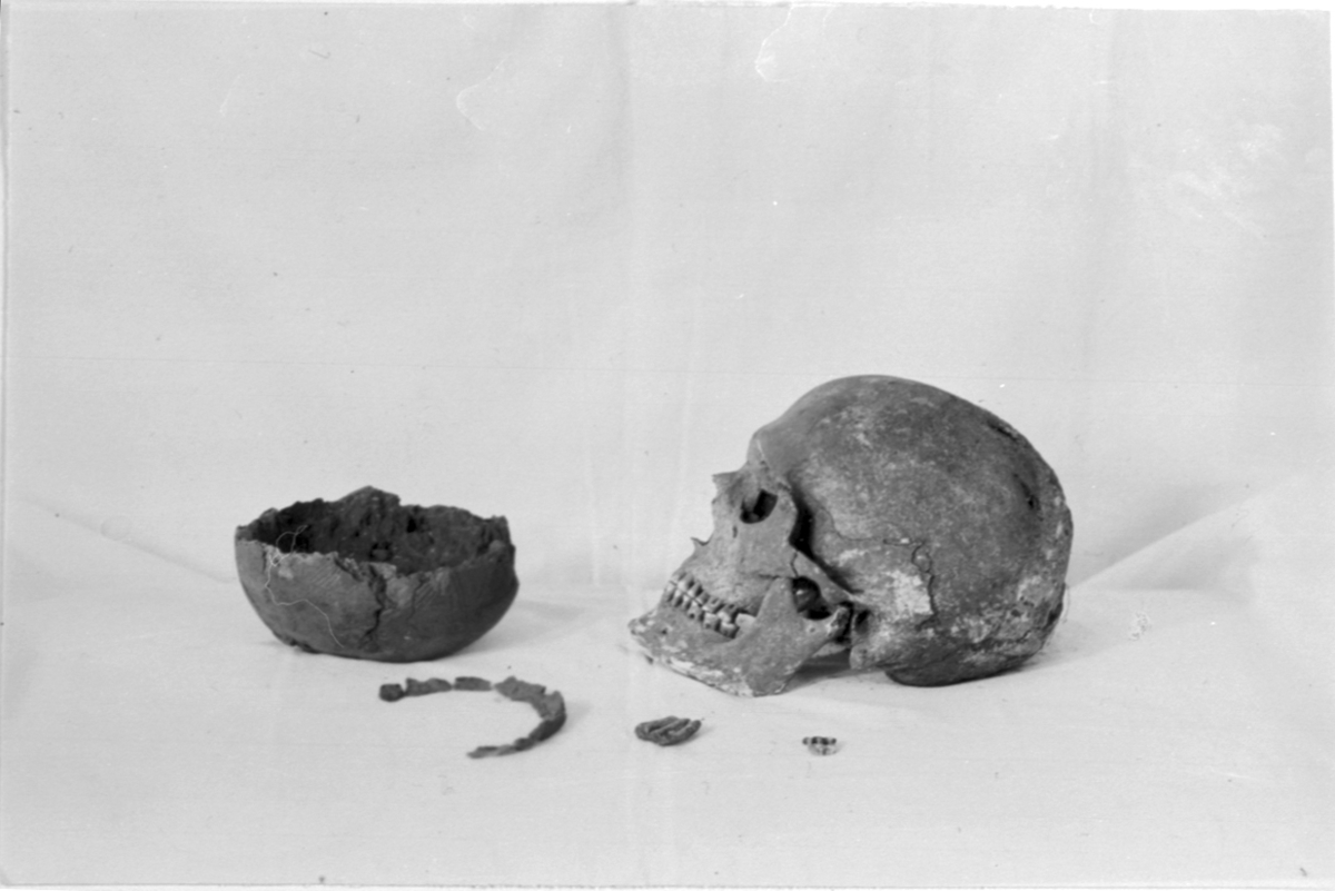 Ett kranium från grav nr 2. som har ett par deformationer efter slag eller trepanation, och gravgåvor: Bronsölja, hartstätning, lerkärl, hästtand. Utgrävning och foto av Hilding Svensson.