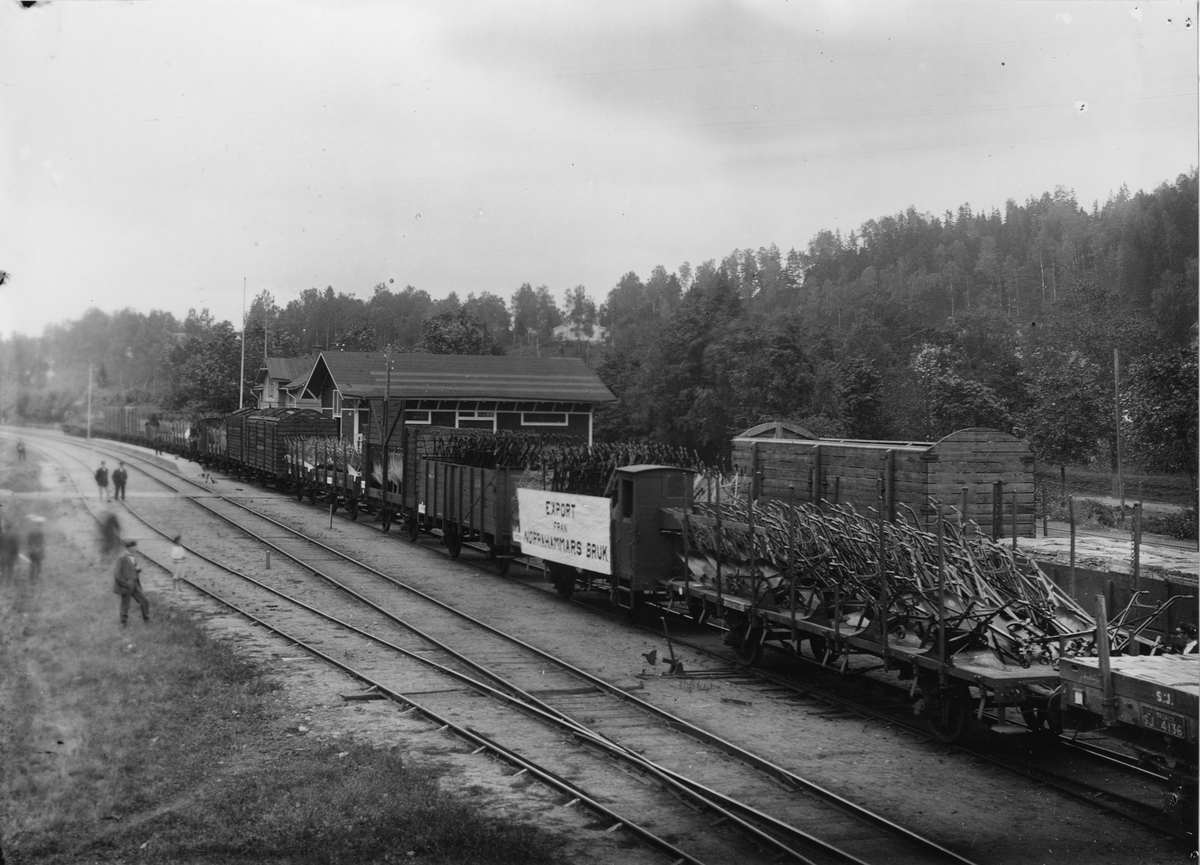 Norra hammars järnvägsstation omkring 1920. Utgående tåg med ca 2000 plogar, avsedda för Ryssland.