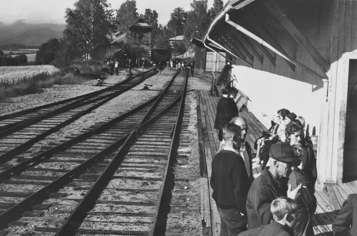 Bygdefolket møtte opp på Krøderen stasjon da A/L Hølandsbanens veterantog ankom.