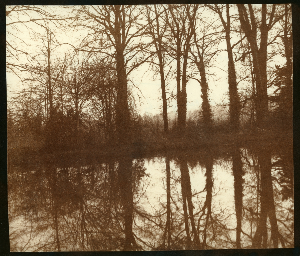 Originalkalotyp. Vinterträd som speglar sig i dammen vid Lacock Abbey, troligen 1841/1842.