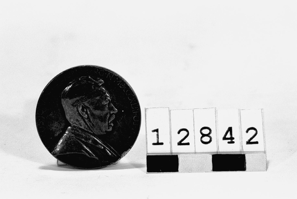 Medalj i silver, över Erik Johan Ljungberg, född 1843, död 1915. Slagen av Vetenskapsakademien år 1923. Tjocklek 2 mm. Åtsidan: Porträtt av E.J. Ljungberg, höger profil, med text runtom: "ERICUS JOHANNES LJUNGBERG N MDCCCXLIII OB MCMXV". Frånsidan: Bild av Domnarvets järnverk samt text: "DOMNARVET# INGENIO ET LABORE# OPES PATRIAE AUXIT# SOCIO MERITTISSIMO# R ACAD SCIENT SUEC# MCMXXIII." Signerad: E. Lindberg.