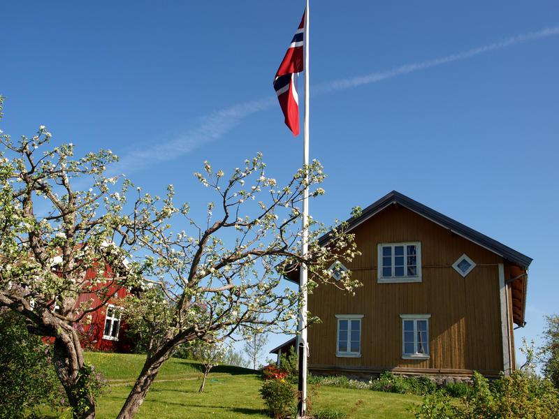 Eidskog bygdetun, Almenninga. Oversiktsbilde av gårdsplassen med sennepsgule Austun i bakgrunn. Midt på bildet er det en flaggstang. I forgrunn ser vi et epletre.