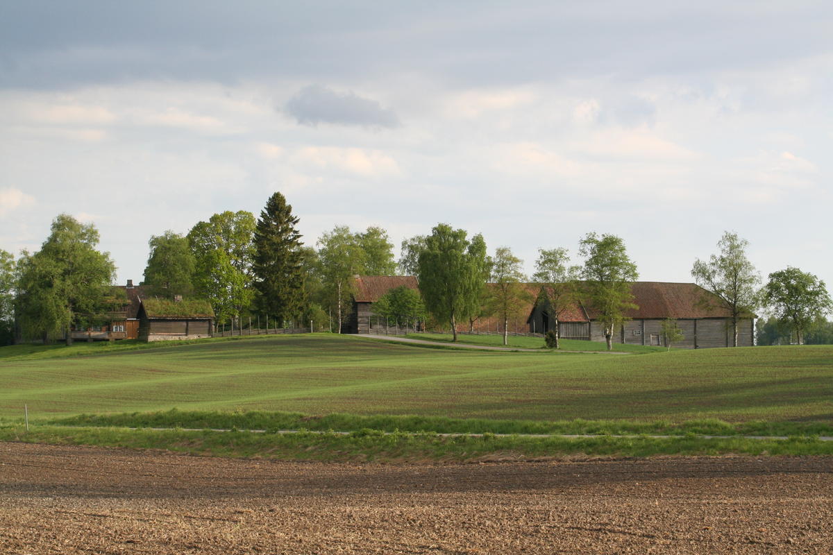 Bildet viser Gamle Hvam museum fra veien. Bildet er fokusert på låven. Det er en åker mellom deg og låven, alt er grønt.