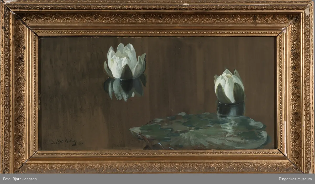 Gouache av vannliljer malt i 1886