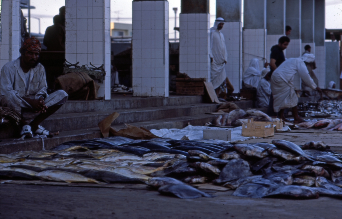 Salg av fisk på markedet.