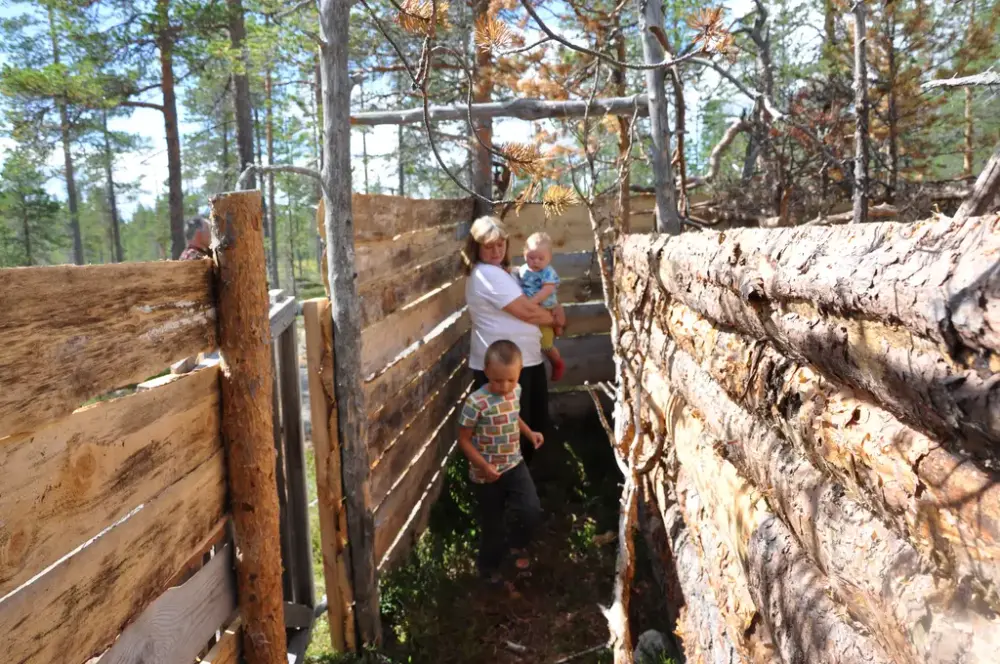 A family in a labyrinth. The walls are made of planks og logs.