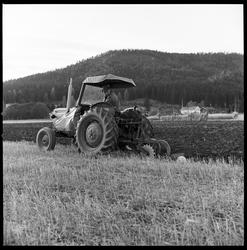 Driftsbilde fra landbruk. Nedpløying av kornåker, Krødsherad