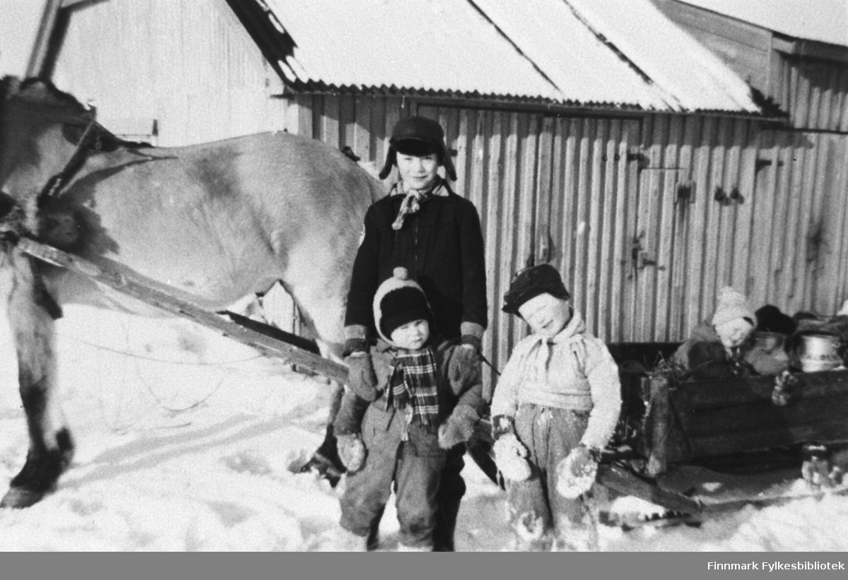 Bildet viser unger i Kiberg ved hesten til Gothart Eriksen.
