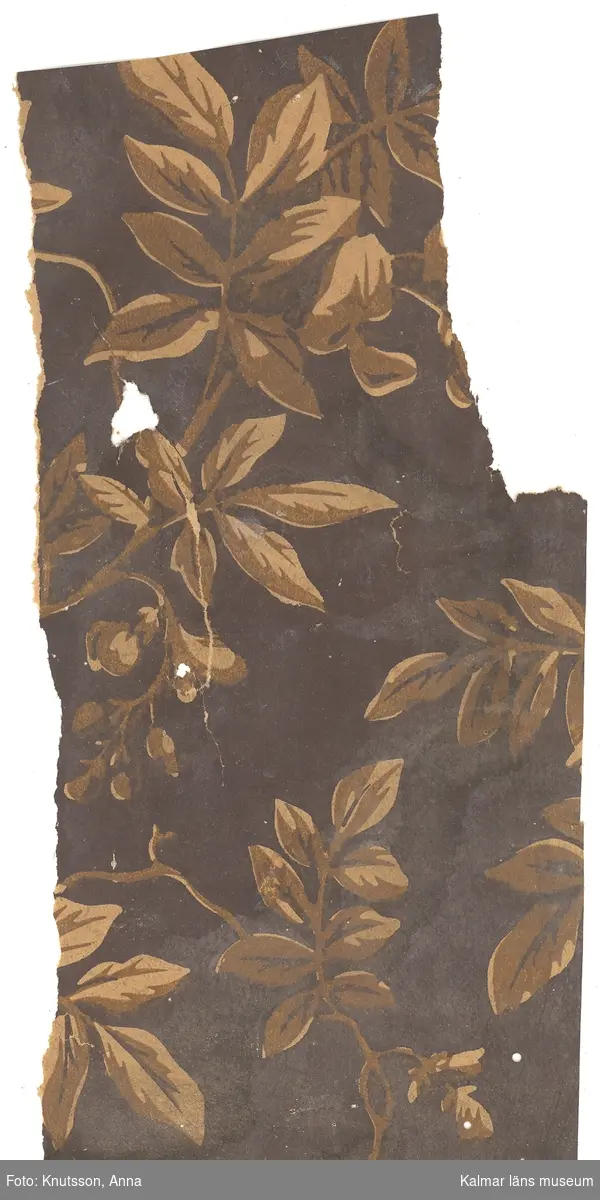 KLM 44052:1 Tapet i papper. Mörkbrun bakgrund med slingrande kvistar och blad i brunt och beige.