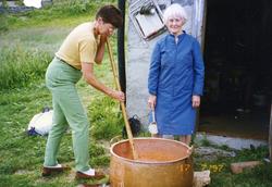 Mjølkeprimet skal kaldrørast på Bergastølen i Hemsedal i1997