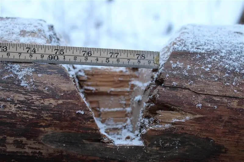 Innhogg i en av stokkene på Kvenna. Innhogget er formet som en "V", innhugget er cirka 10 cm på midten.