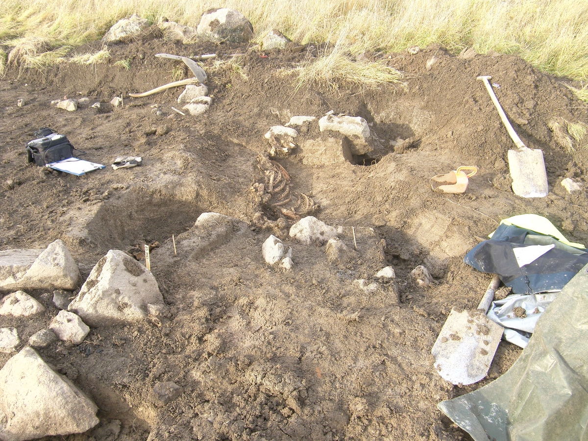 Arkeologisk slutundersökning, A5837 hästgrav, Övergnista, Fyrislund, Uppsala 2010