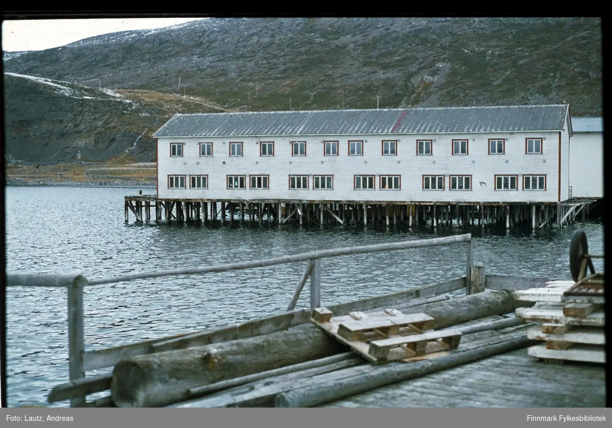 Kongsfjord i 1975. Kaia.