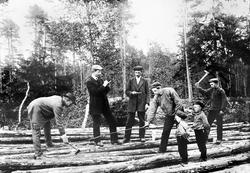 Tømmermerking i Aremark, ca. 1915. To små gutter ser på.  
