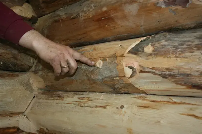Nærbilde av en reparasjon gjort på en av stokkene til Kvenna. Her er det satt inn en plugg i et hull. Hullet er ca 2cm. I pluggen er det satt inn en kile.