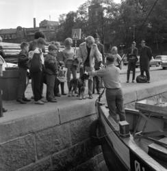 Honnørbrygga. Salg av ferske reker fra fiskebåt. .Ca. 1968.