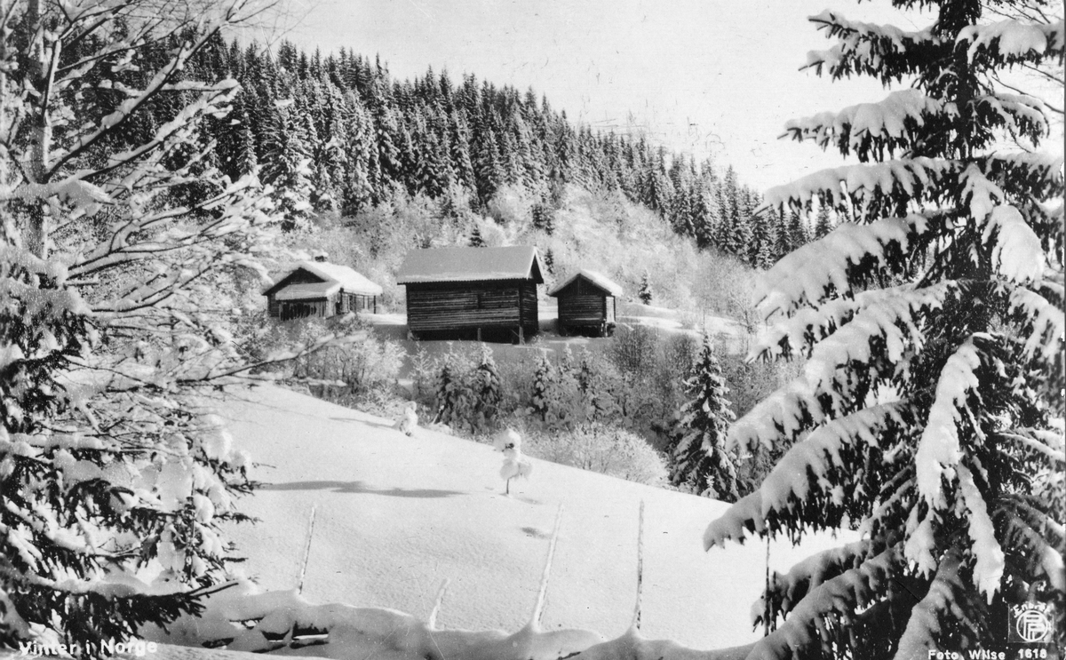 Postkort. Vinterlandskap med hytter og skog.