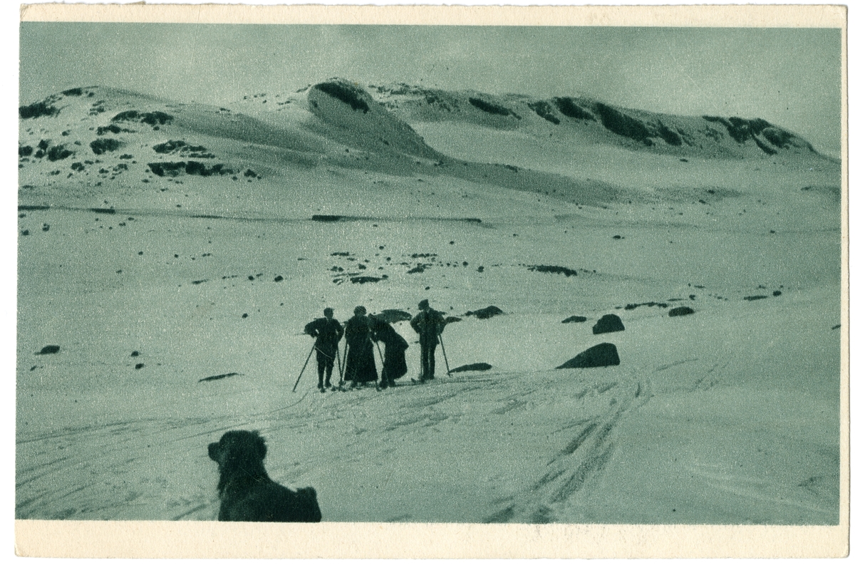 Postkort. Fire skiløpere på høyfjellet.