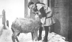 Tana Sorenskrivergård. 1917.