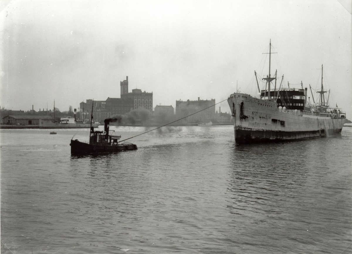 Yngaren med lotsbåt. S/S YNGAREN. levererades till Rederi AB Transatlantic (G. Carlsson), Göteborg, 1921.