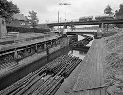 Slusing av tømmer ved Ørje i Marker kommune i Østfold høsten