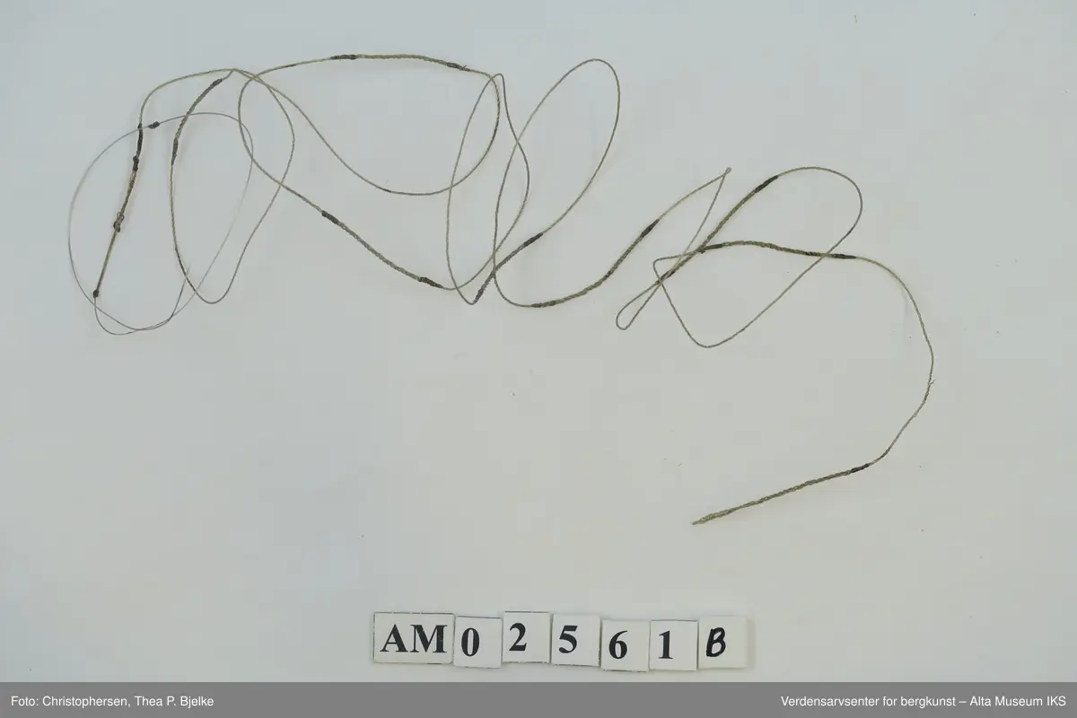 Bakgrunnsmotiv fra fiskeelven Spey