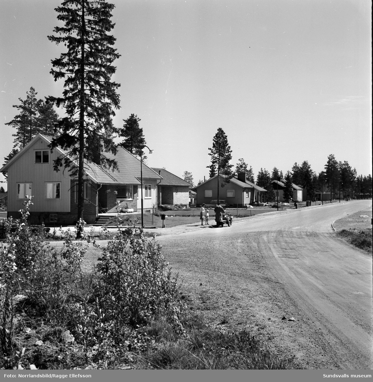 Villaområde i Haga, ovanför Hagaskolan. På bilden syns husen vid Idrottsgatan 10-16.