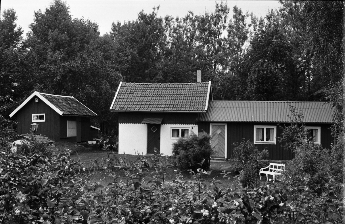 Jordkällare, bod, fähus och gäststuga, Järsta 8:1, Anneberg, Tensta socken, Uppland 1978