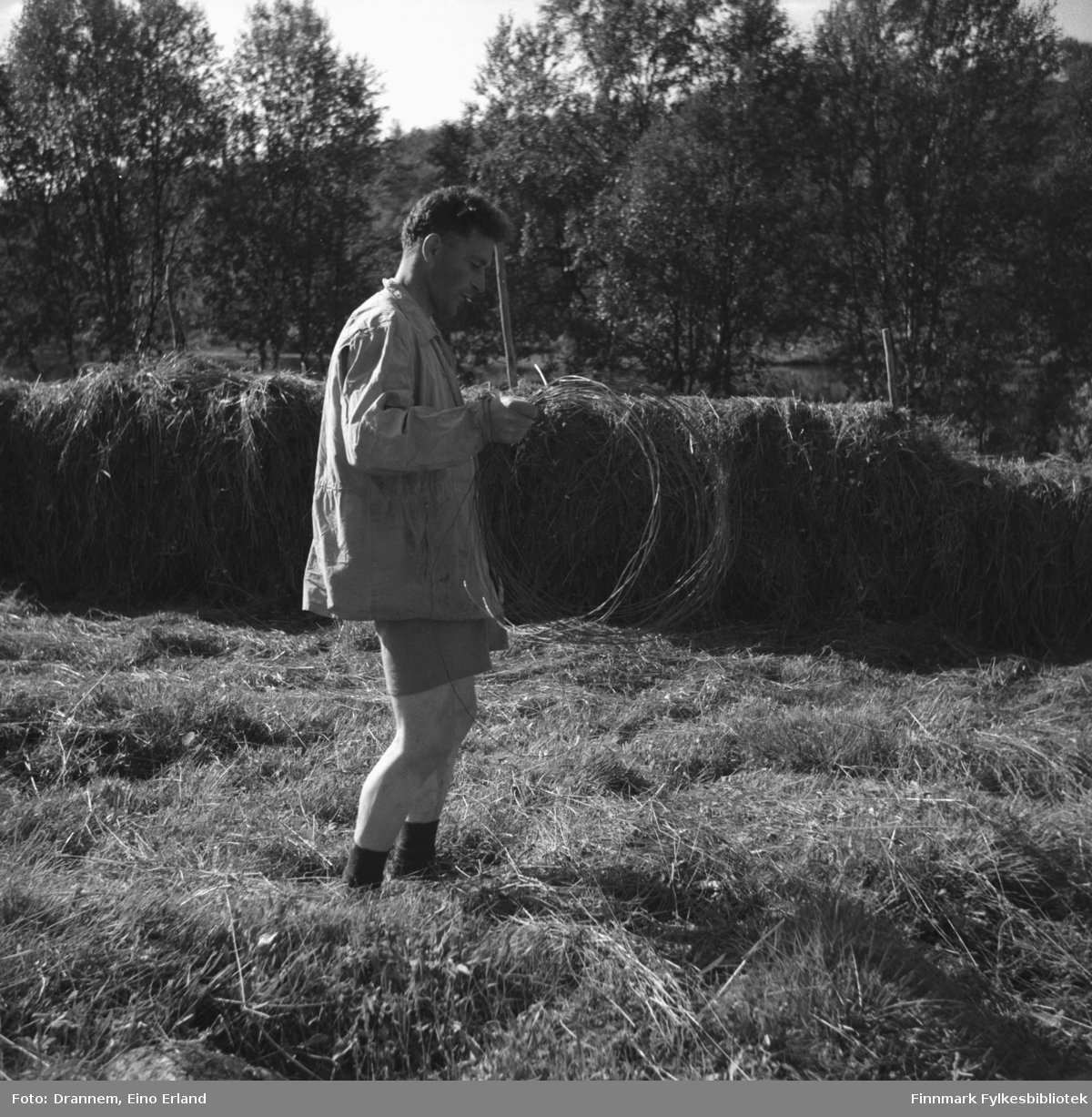 Fotografi av Olav Gabrielsen på et gressdekt jorde med en bunt hesjestreng i hendene.