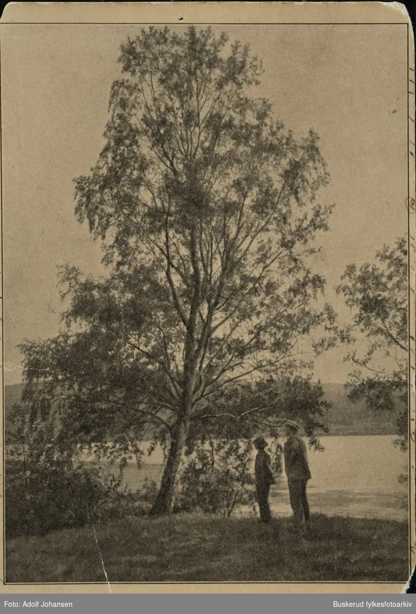 Ungbirken Postkort fra Krødsherad. Kortet er sendt ti bispinde 
Sofie Moe i Christiania i 1904