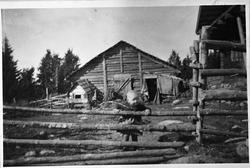 Vollumsætra i Kolbuåsen, i dialekten kalt Vøllum, Fjøset set