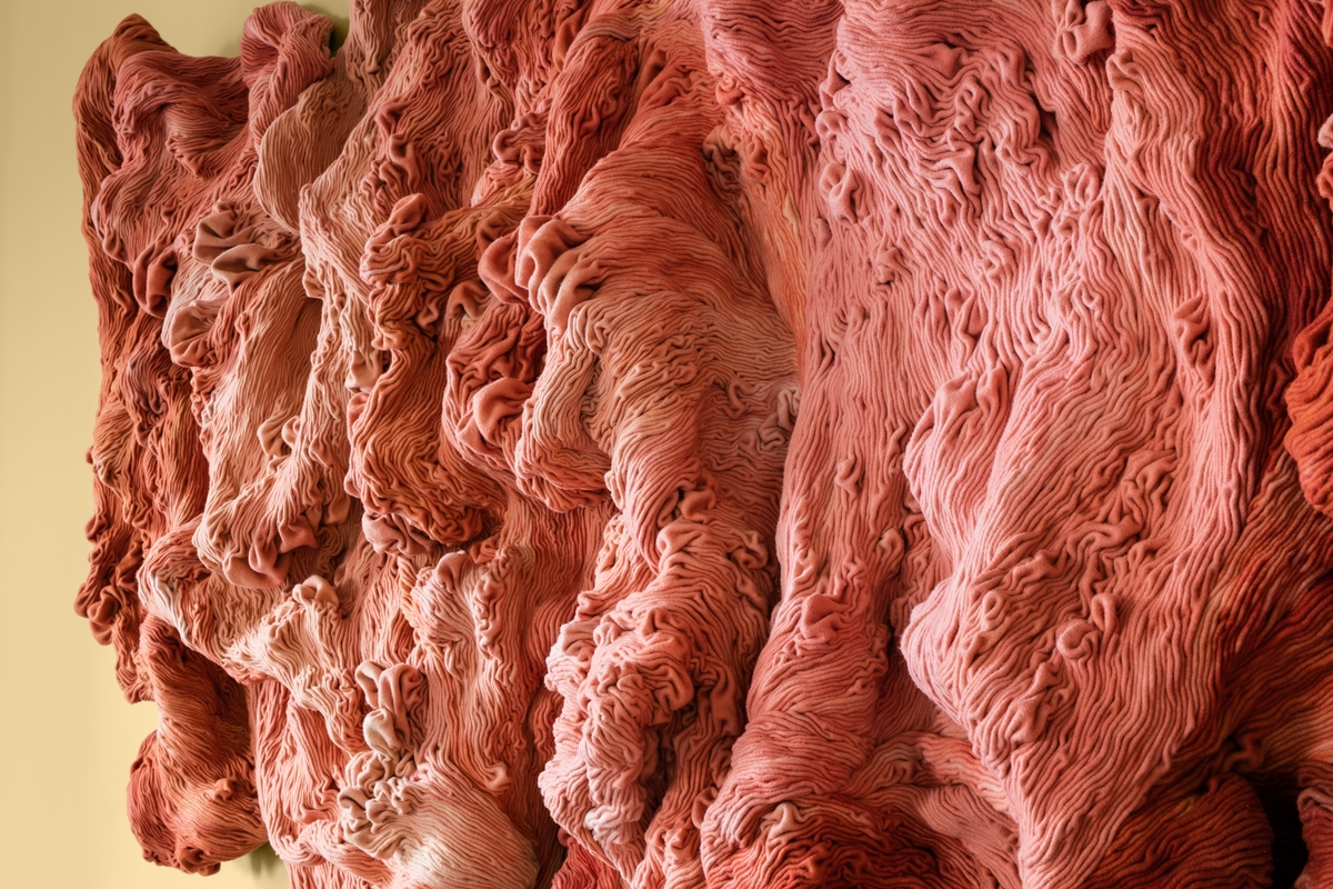 Hanne Friis har latt seg inspirere av både kulturlandskapet på Ås og byggets jugendarkitektur og resultatet er organiske, skulpturelle former som samler seg i ett monumentalt uttrykk. Verket inntar en markant plass i rommet og er i aktiv og tett dialog med rommets farger og med ornamentikken som er karakteristiske for perioden. Det er laget av ull farget inn i nyanser som spenner fra hvitaktige til dype farger i røde, brunaktige og rosa nyanser, alle frambragt med planten krapp (Rubia Tinctorum).

Ved å folde, brette og sy sammen stoffet for hånd, har kunstneren bygget opp en skulptural form som nærmest slynger seg utover veggen som en levende organisme. Vekst og oppløsning er et av naturens premisser. På nært hold vil de mange detaljene i overflate og bevegelse gjøre det interessant å studere verket over tid. Skulpturen "Shades of Rubia Tinctorum" inviterer til å reflektere over de uunngåelige forandringsprosesser vi alle er underlagt.
