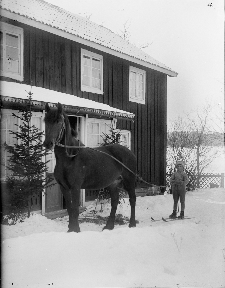Lennart Fredlund, Stockholm, på skidor efter häst, Uppland 1919
