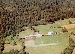 Flyfoto fra gården til Erling L. Meisingset, Rotås på Meisin