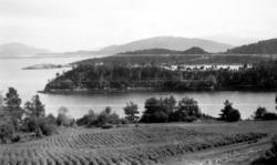 Jordbruksmark, fjord, holmer og skjønn natur i landskapsbild