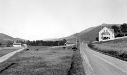 Foto fra landeveien, med noe av bebyggelsen i Surnadal kommu