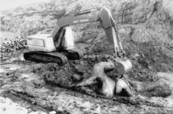 Hvalborg 2. serie. Avis/pressebilde fra Romsdalspostens sitt