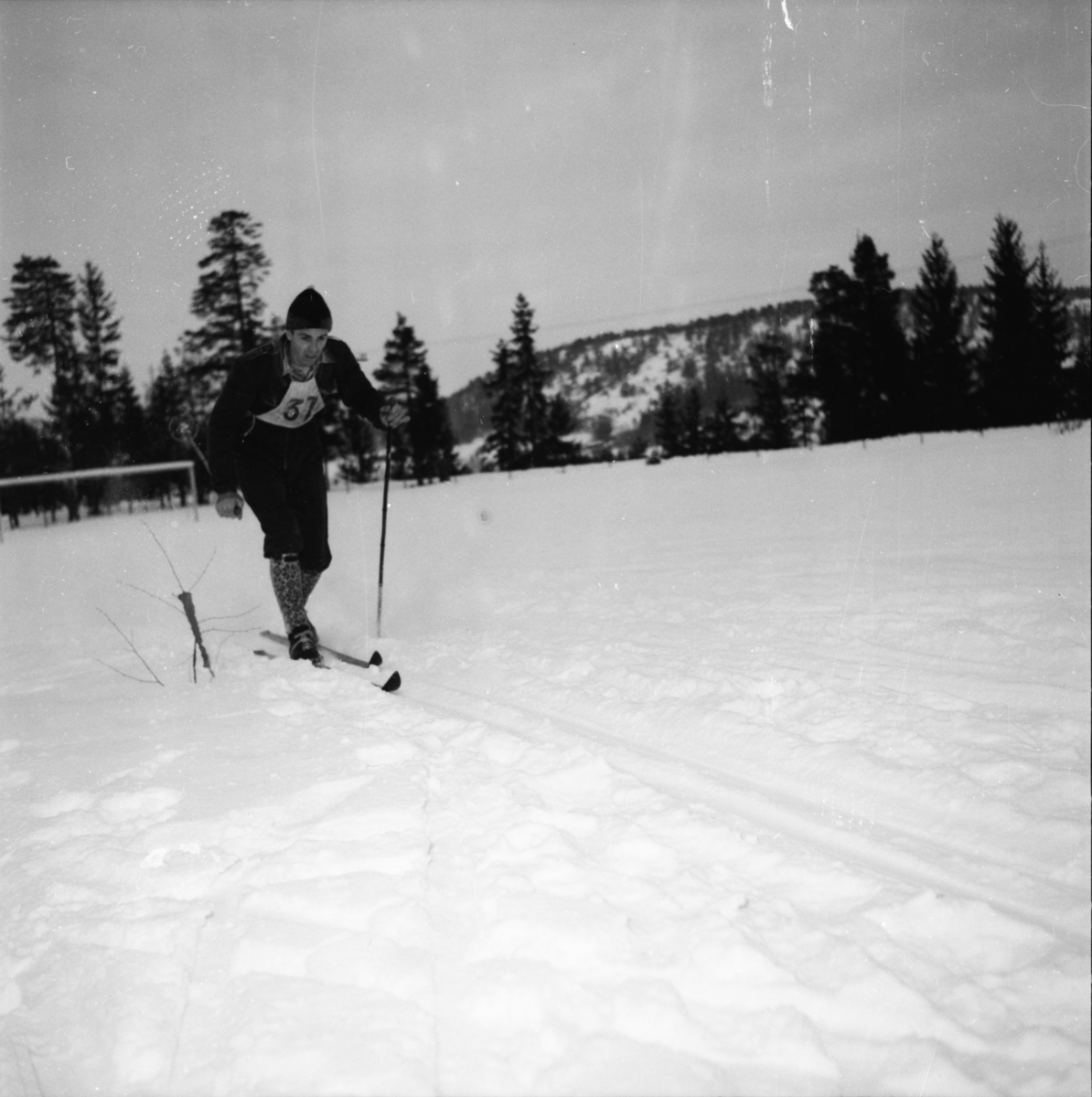 Vardens arkiv. "K.M. i Lunde. Langrenn"  23.01.1954