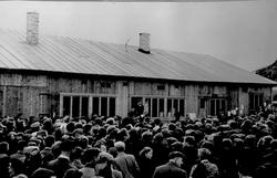 Gjenreisning. Besøk av Kong Haakon VII. Kongen holder en tal