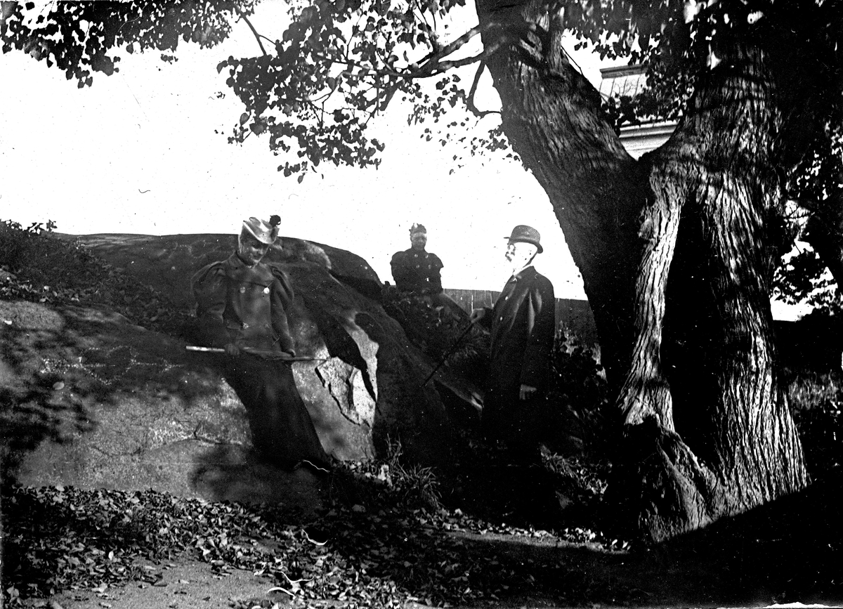 Tre män vid en stor sten 1895. Fotograf Alfred Bergendahl. Givare H Bergendahl.