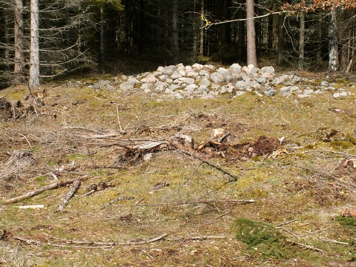 Stensättning
Foto av stensättning i gravfältets S del.
Raä 32 1 b, 2006-04-21