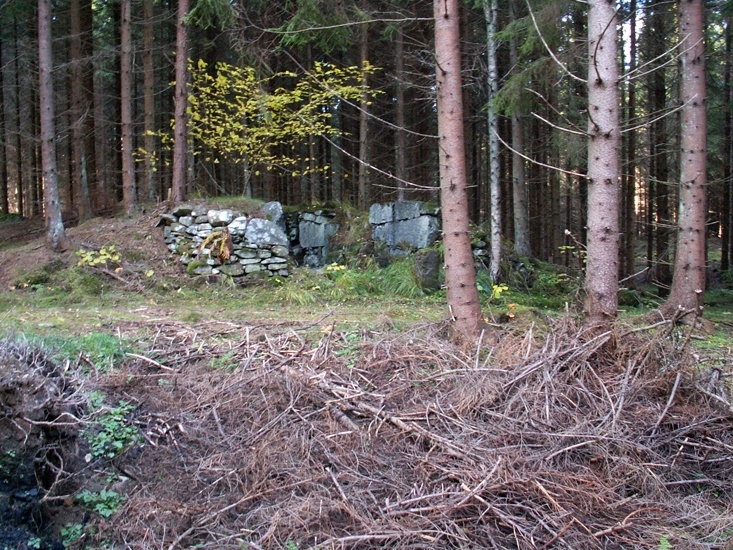 Kolugn
Foto av kolugn av kallmurad sten och tegel. Kolet användes under 1940-talet till bilbränsle.
Raä 203 b, 2005-10-28, reg i FMIS.