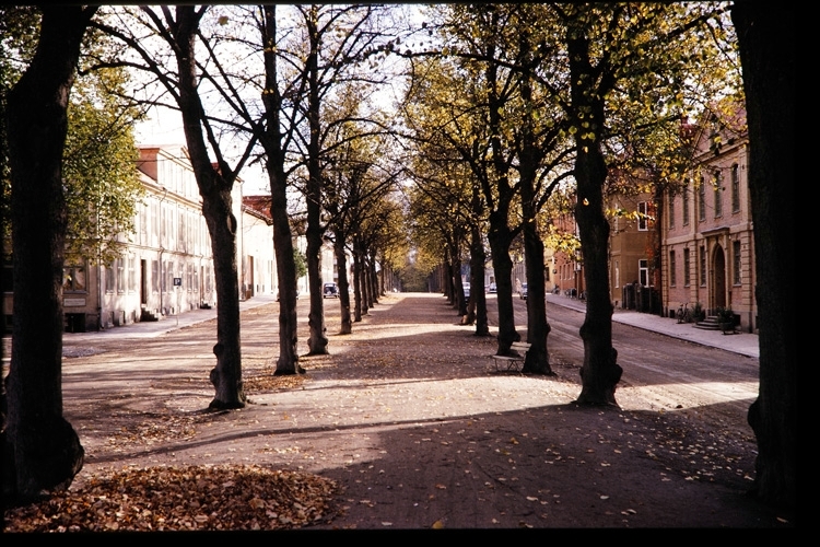Norra Esplanaden i Växjö, ca. 1960.