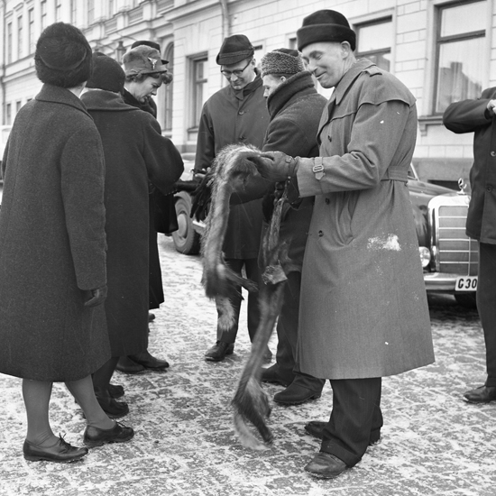 Försäljning av rävskinn på Stortorget, Växjö. Sigfridsmarknaden 1964.