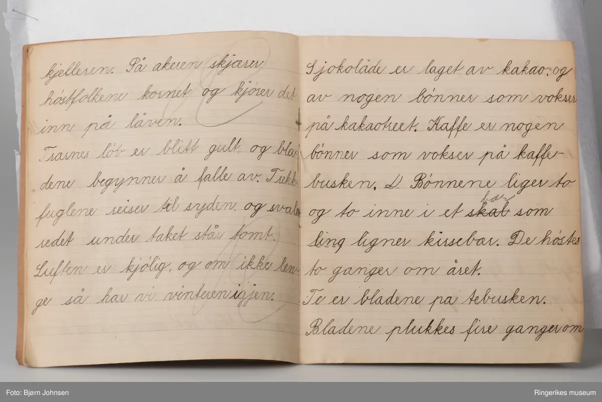 Hefter - Ringerikes museum / DigitaltMuseum