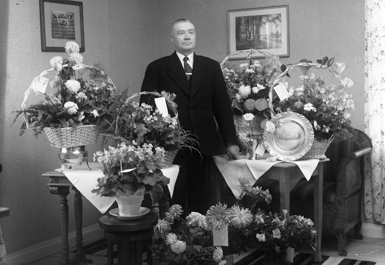 Foto av en medelålders man i mörk kostym som står i ett vardagsrum, omgiven av blommor och presenter.
Adolf Andersson (22 november 1893-1969), Sköldstad Jönsagård, Hjortsberga med Kvenneberga.
Källa: Sveriges Dödbok 1901-2009.