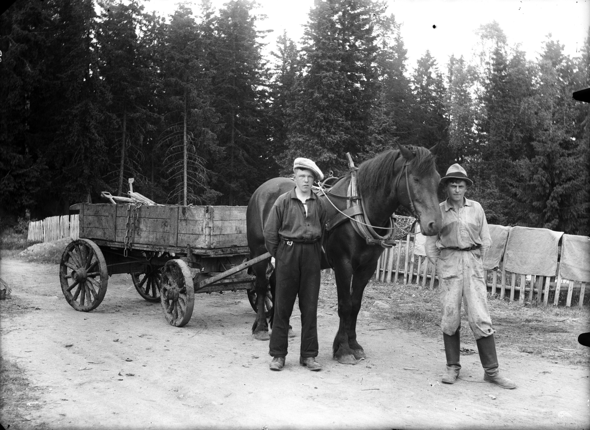 Axmar bruk, häst och vagn, till vänster Kalle Lundgren.