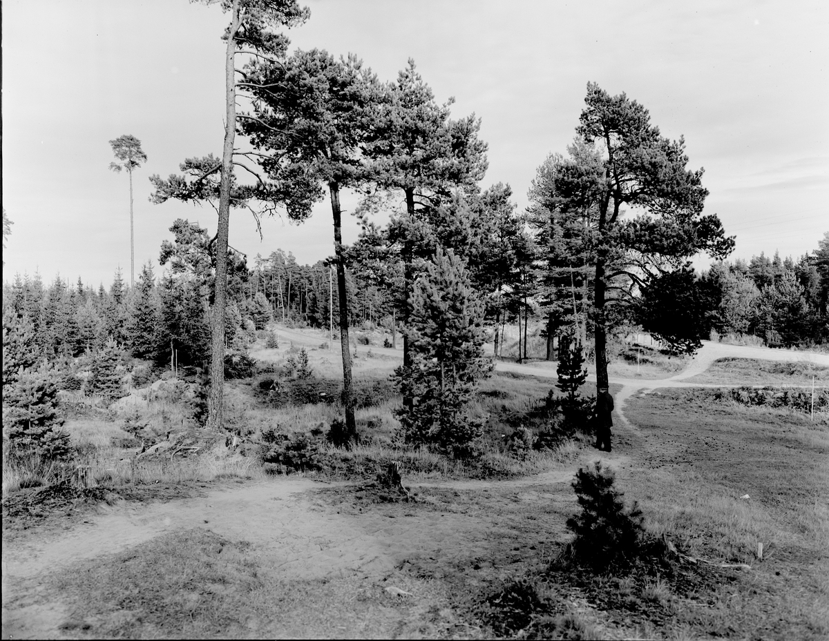 Tolvforsheden blivande Skogskyrkogården som invigdes 1929