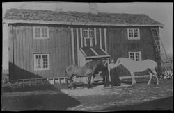 Hans Kristian Ophaug og Margrete med to hester utenfor gårde