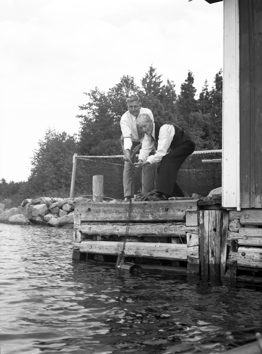 Amerikanare besöker släkt i Harkskär. Den 23 juli 1949